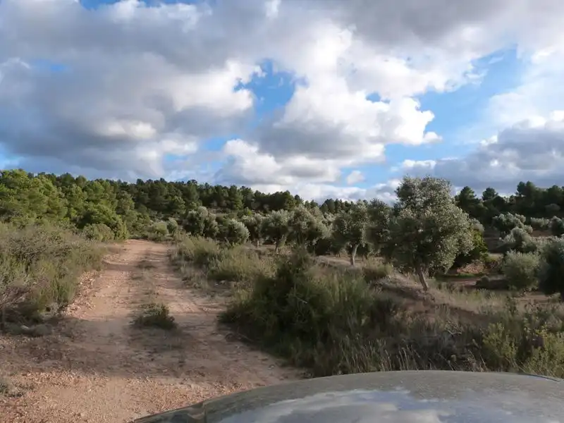 Finca rústica en venta en Valjunquera