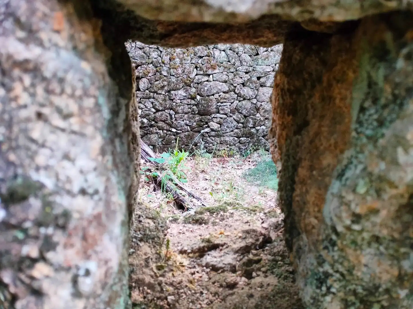 Terreni e lotti in vendita a Villanueva de la Vera, imagen 15
