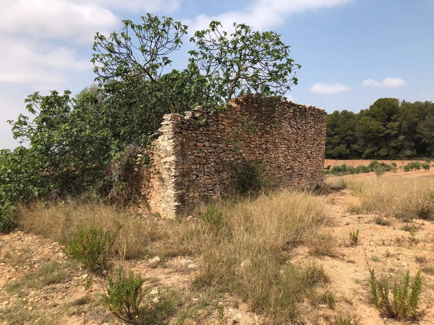 Terreno rústico en venta en Vila-rodona