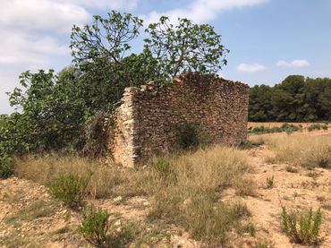 Terreny rústic en venda a Vila-rodona