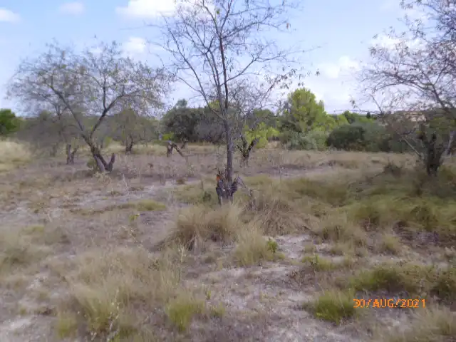 Terreno residencial en venta en Castelló de Rugat, imagen 4