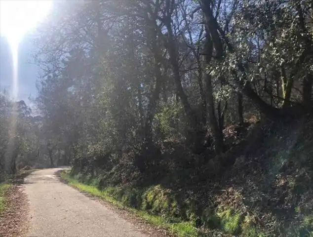Terreno rustico in vendita a Barro, imagen 3