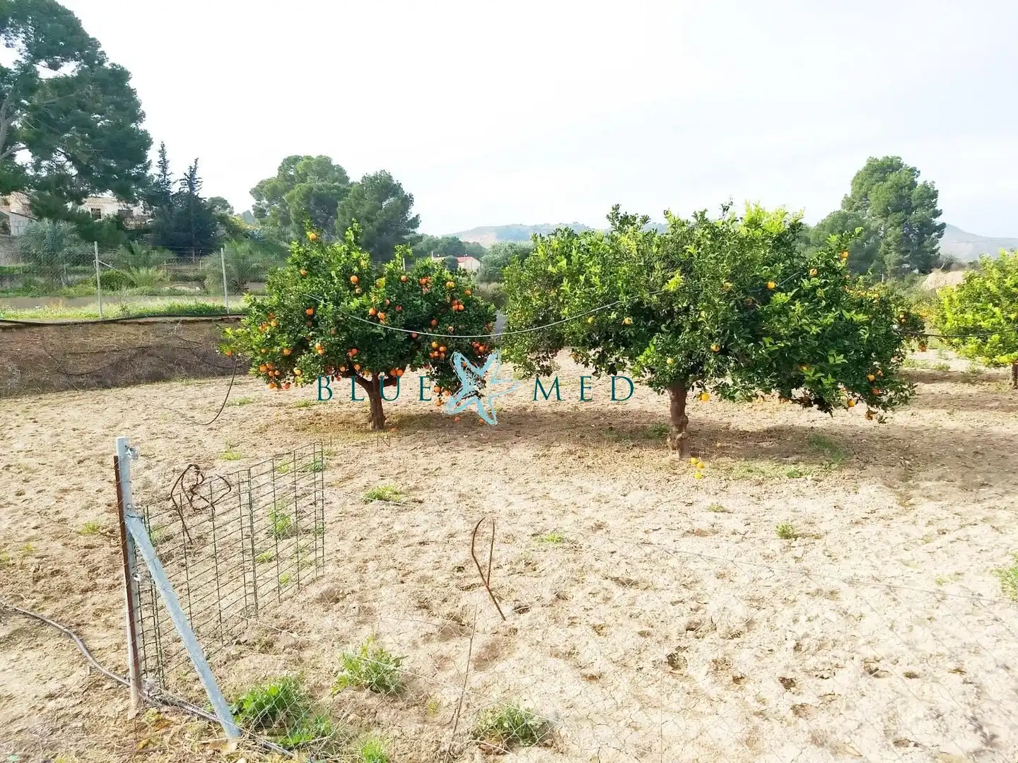 Casa o chalet en venta en Lorca con Aire acondicionado, Calefacción y Jardín privado