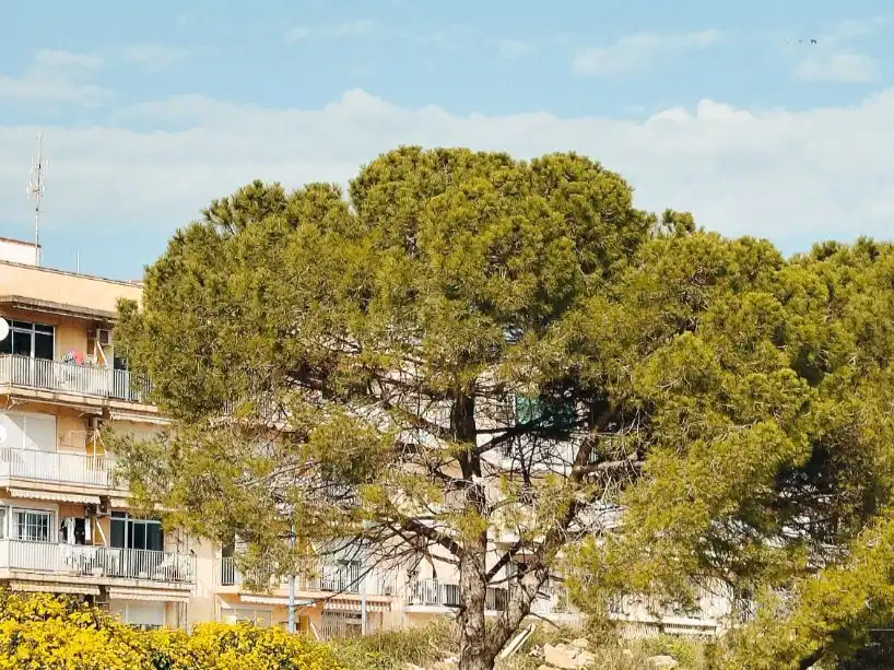 Apartment with lift for sale in Travesia de la Avenida Tarragona 1, imagen 30