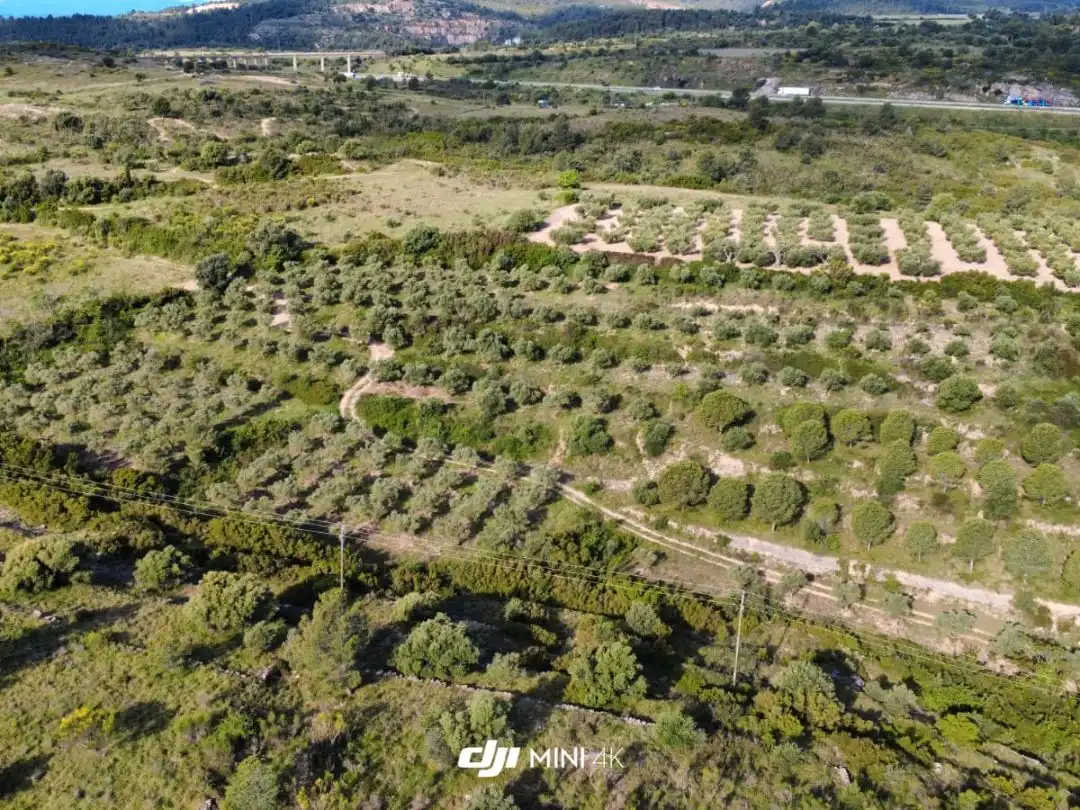 Terreno rustico in vendita a N-IIa 11, imagen 6