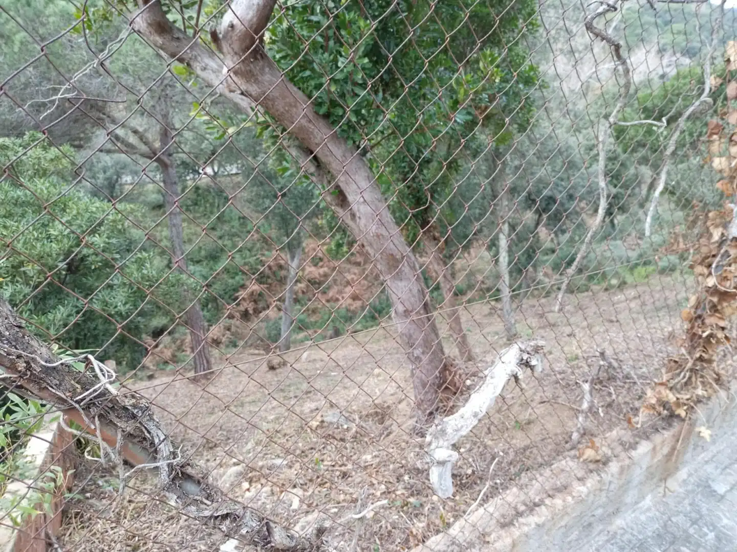 Wohnbaugrundstück zum Verkauf in Morera 2, imagen 9