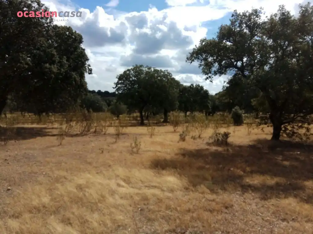 Finca rústica en venta en Villanueva del Duque