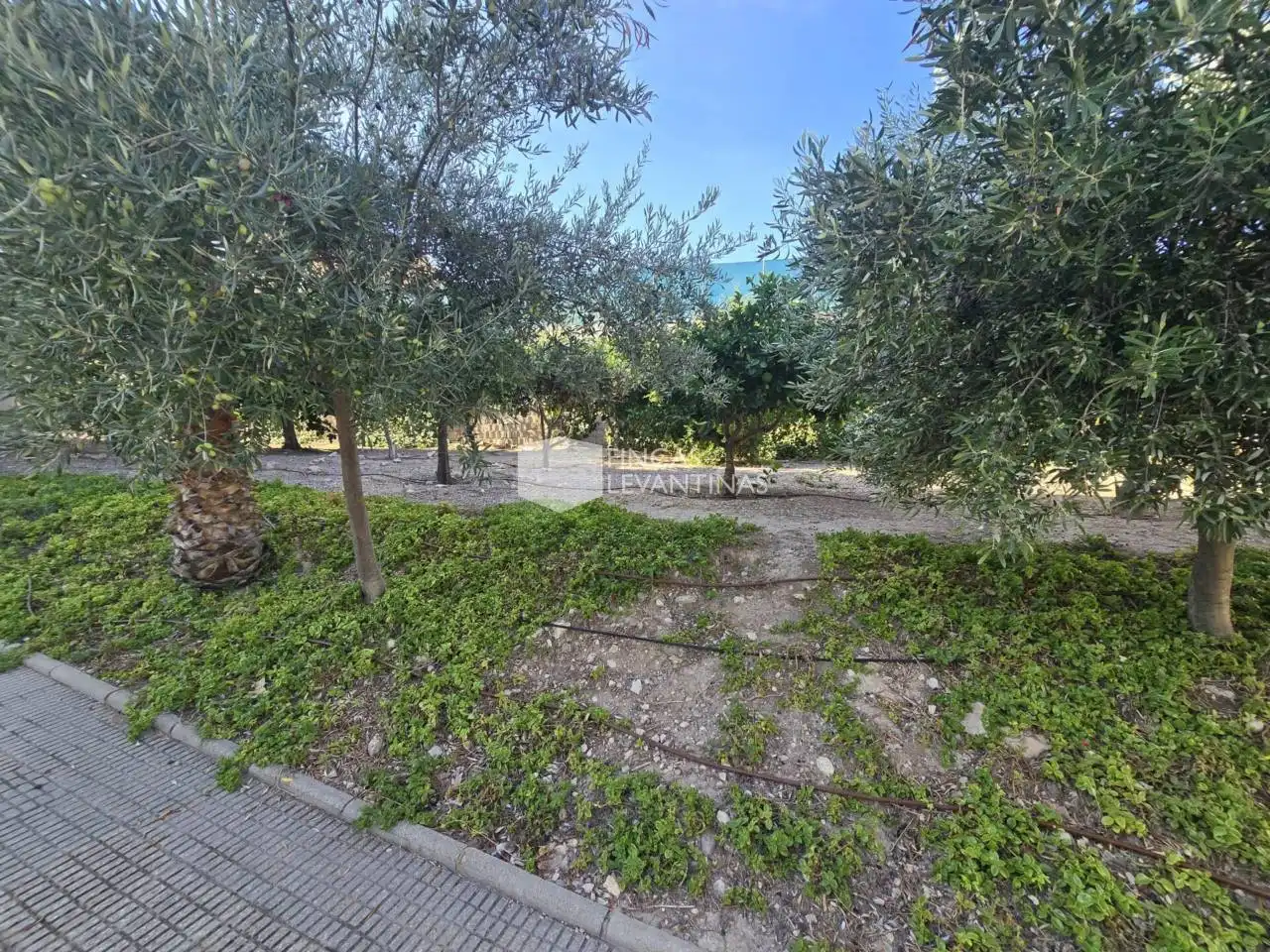 Chalet con piscina en venta en La Huerta, imagen 23