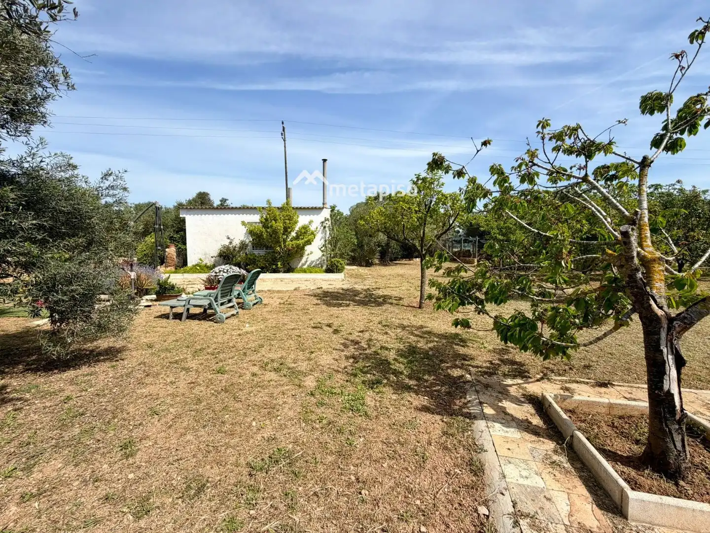 Terreno rustico in vendita a Santa Oliva, imagen 15