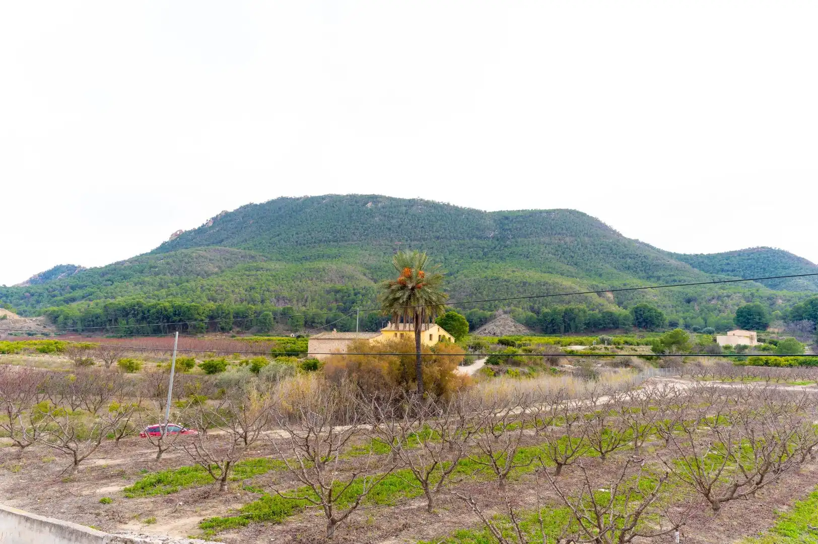 Casa o xalet en venda en Blanca amb Terrassa, Piscina i Moblat