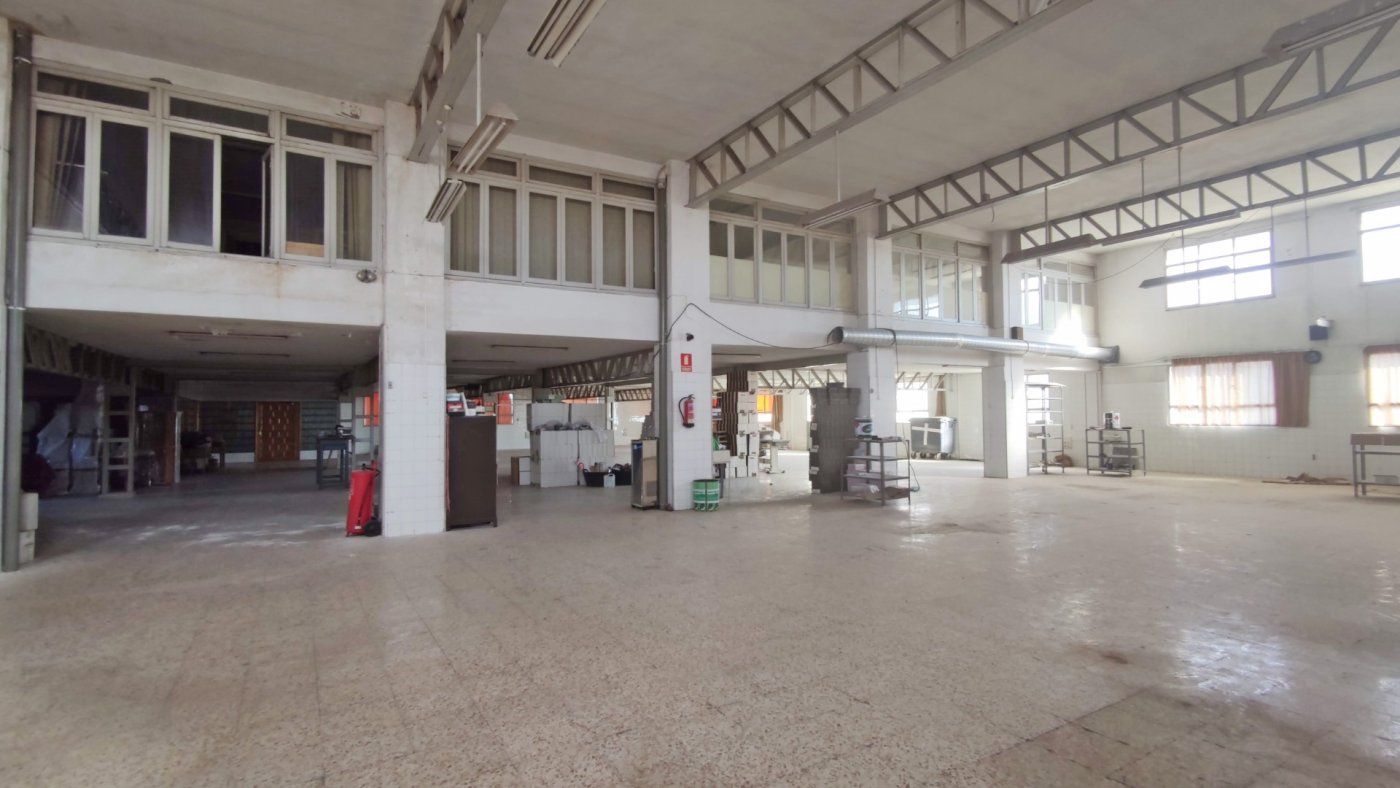 Industrial buildings to rent in Elche / Elx