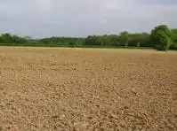 Grundstücke zur Miete in Fuente del Maestre, Badajoz