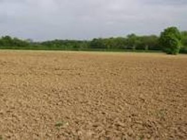 Terreno rustico in affitto a Plaza de España