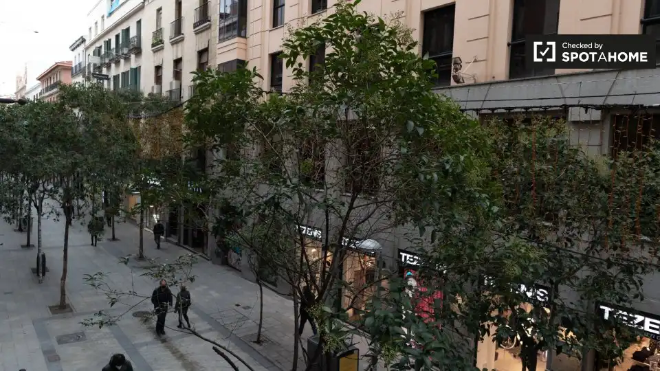 Pis de lloguer a Centro, imagen 7