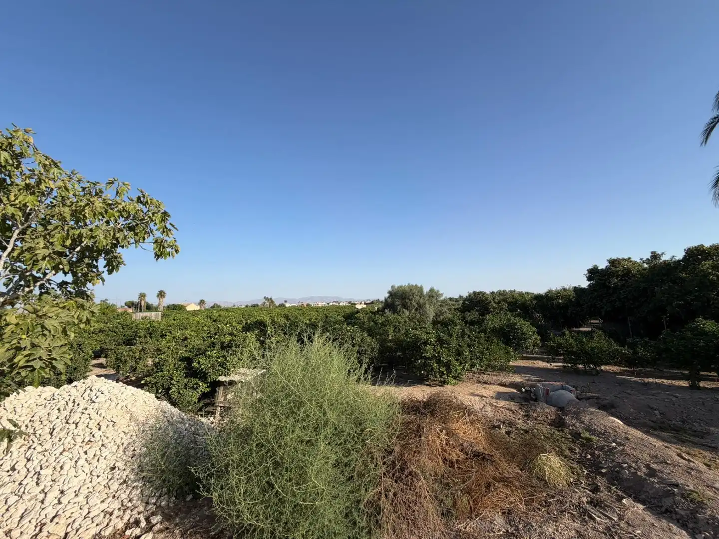 Casa en venta en Daya Vieja, imagen 16