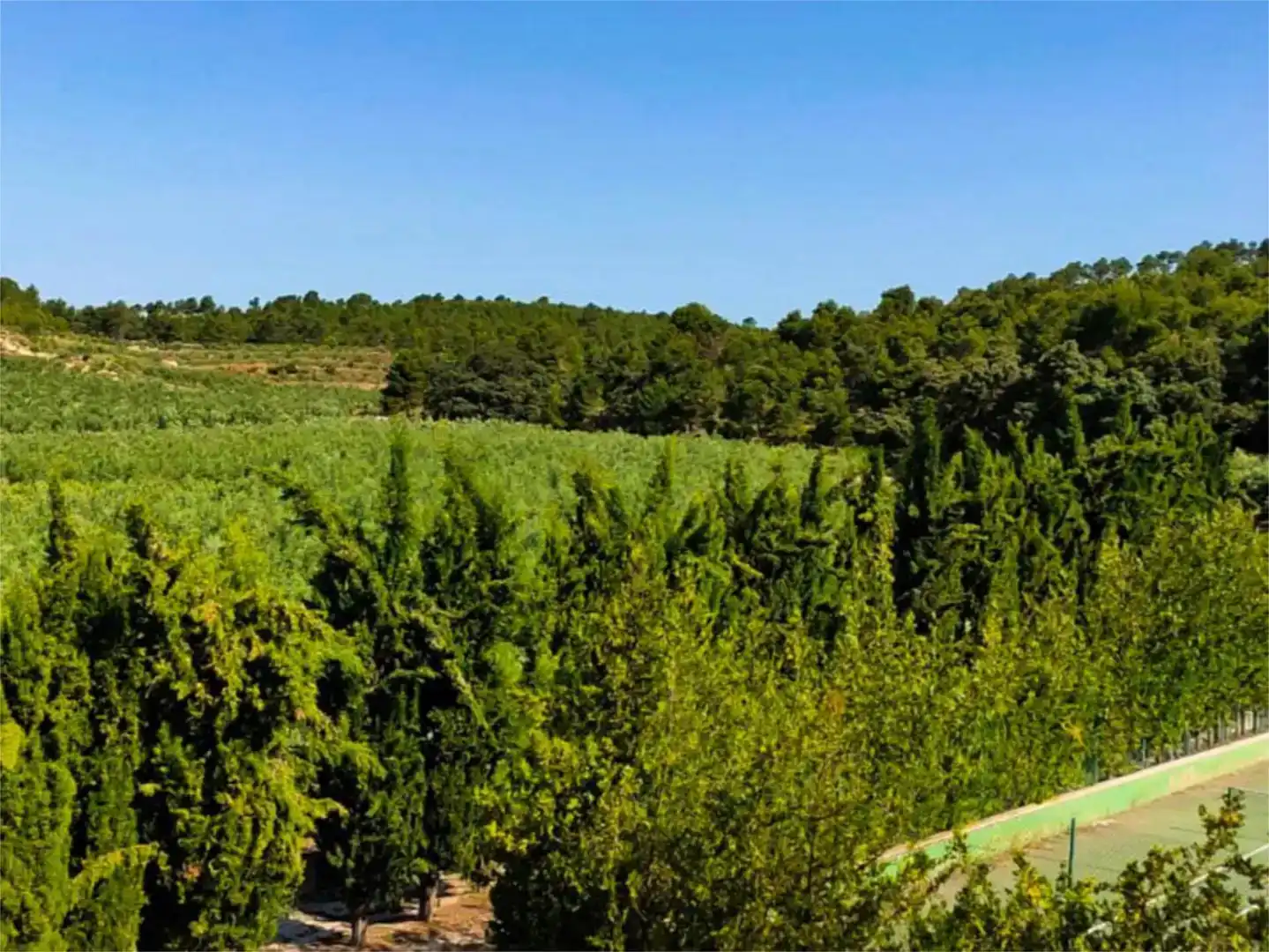Wohnung zur Miete in Alcoy / Alcoi mit Klimaanlage, Privatgarten und Schwimmbad