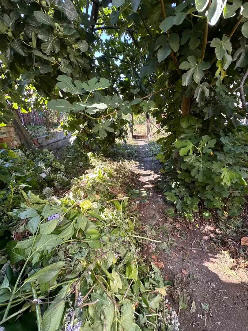 Jardí de Casa adosada en venda en Santiago de Compostela  amb Calefacció, Jardí privat i Terrassa