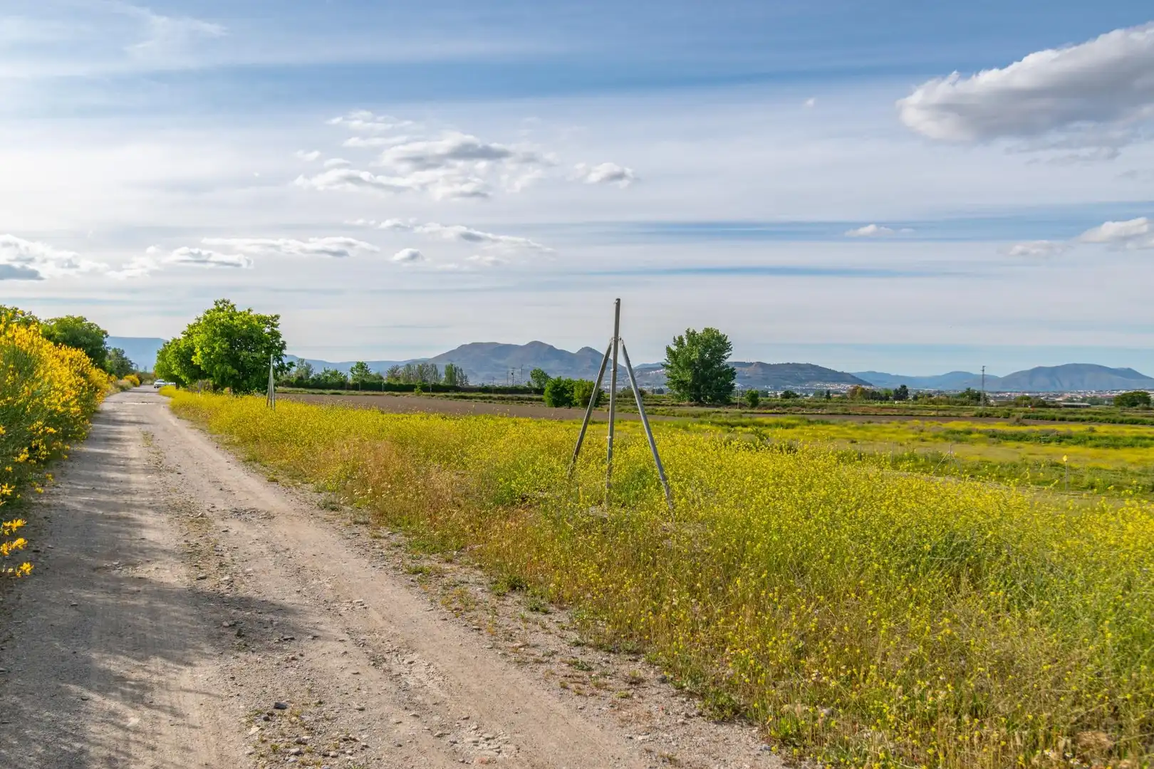 Lands and plots for sale in Polígono 9 Parcela 307 MARACHAT. GRANADA (GRANADA, imagen 14