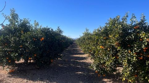 Foto 4 von Country house zum Verkauf in Urbanizaciones, Llíria