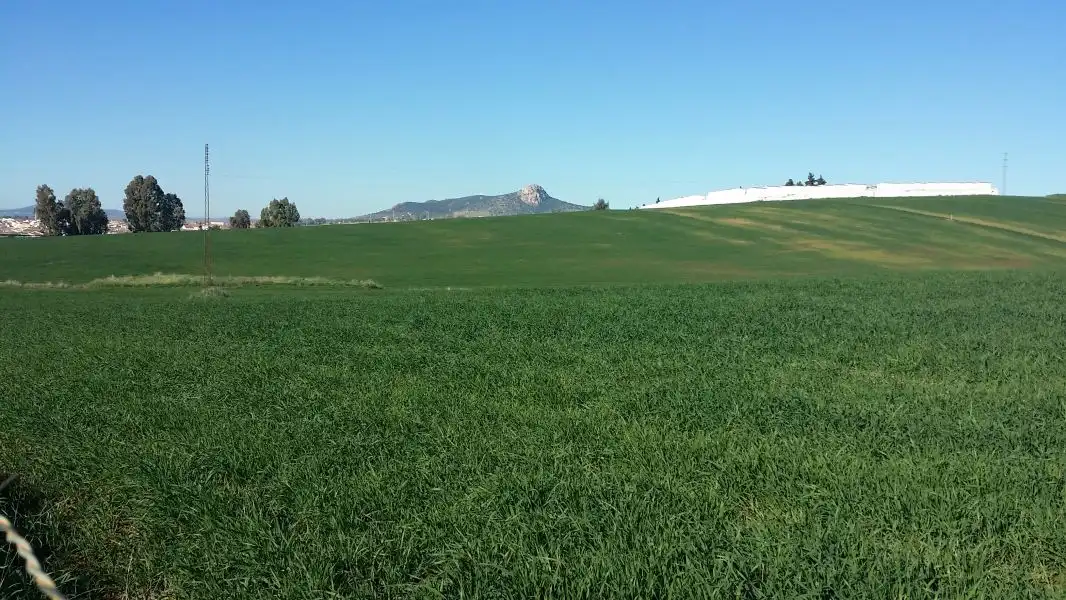 Casa rústica en venda a Peñarroya-Pueblonuevo