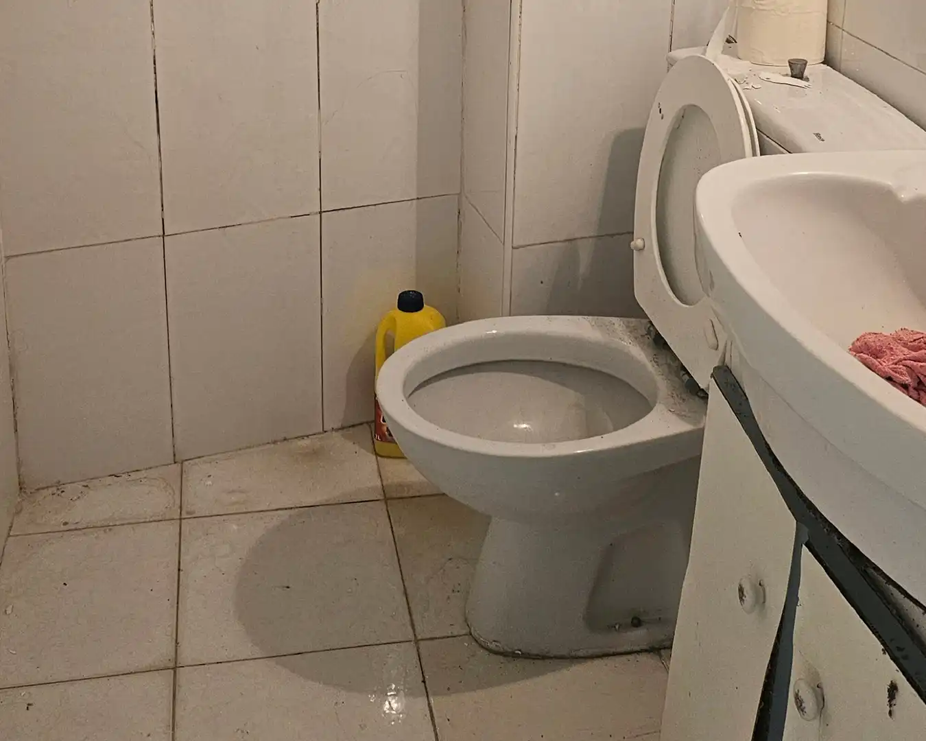 Bathroom of Commercial properties for sale in Errekalde