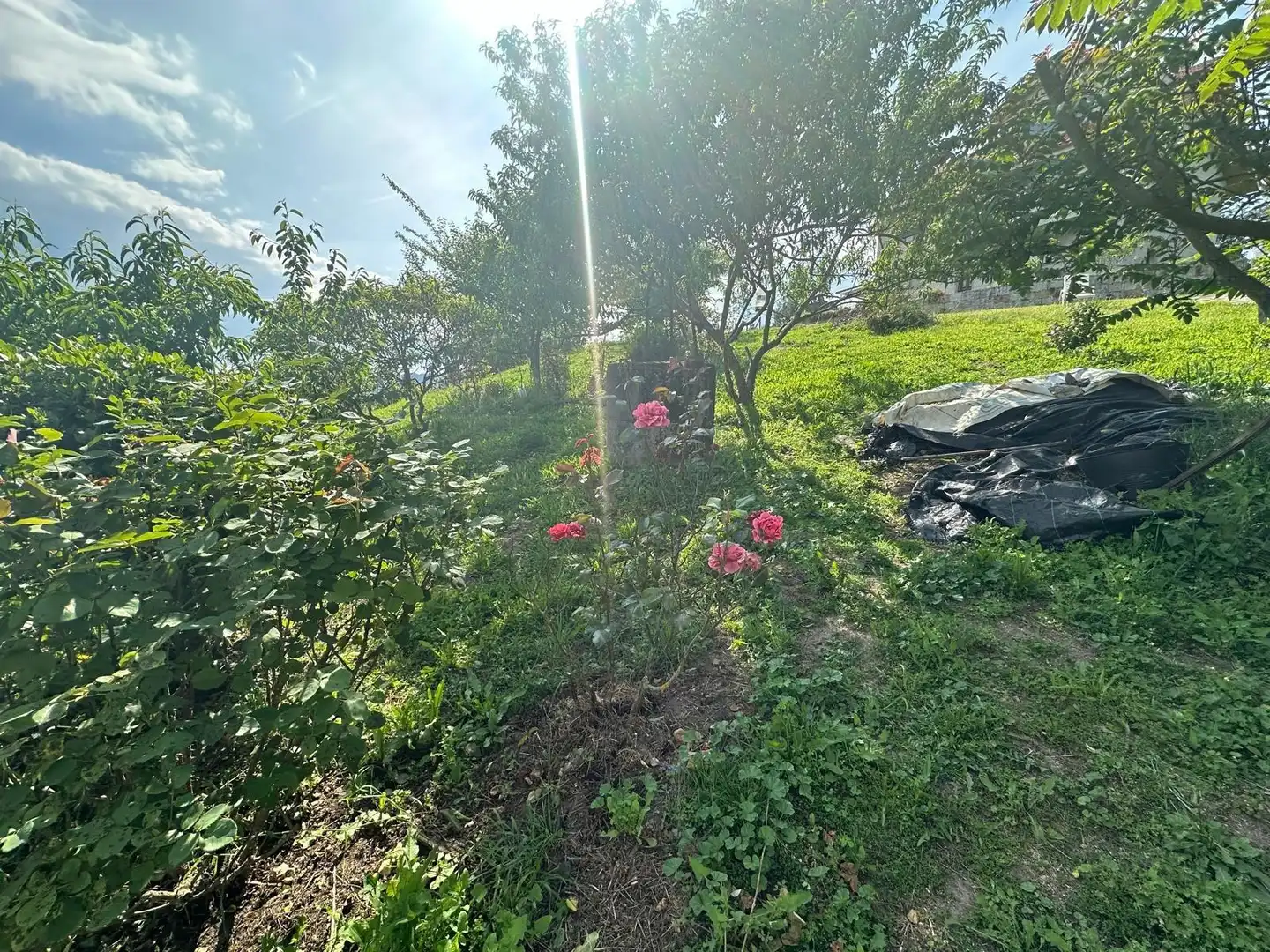 Xalet amb jardí en venda a Ventiun, imagen 65