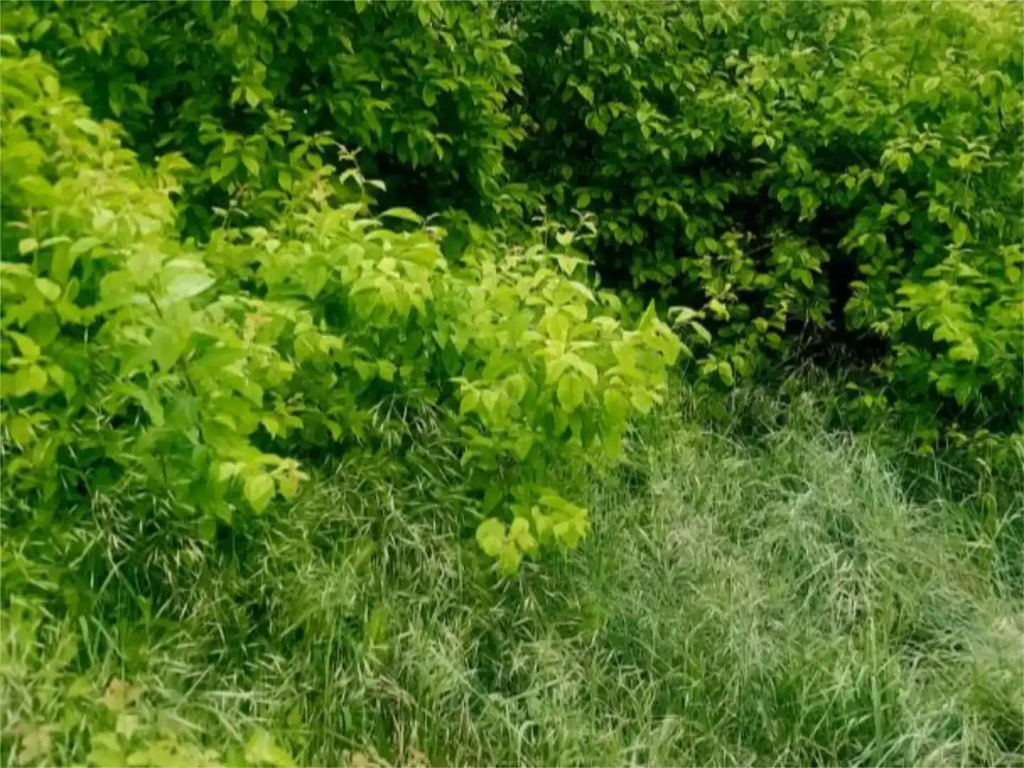 Finca rústica en venda en Vezdemarbán