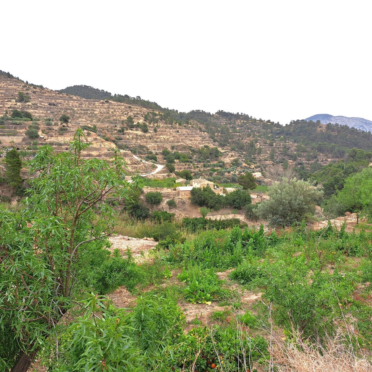 Country house for sale in Sella