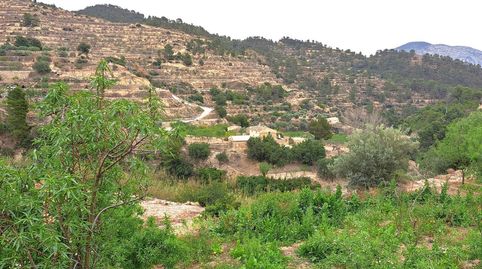 Foto 4 de Finca rústica en venta en 4, Sella, Alicante