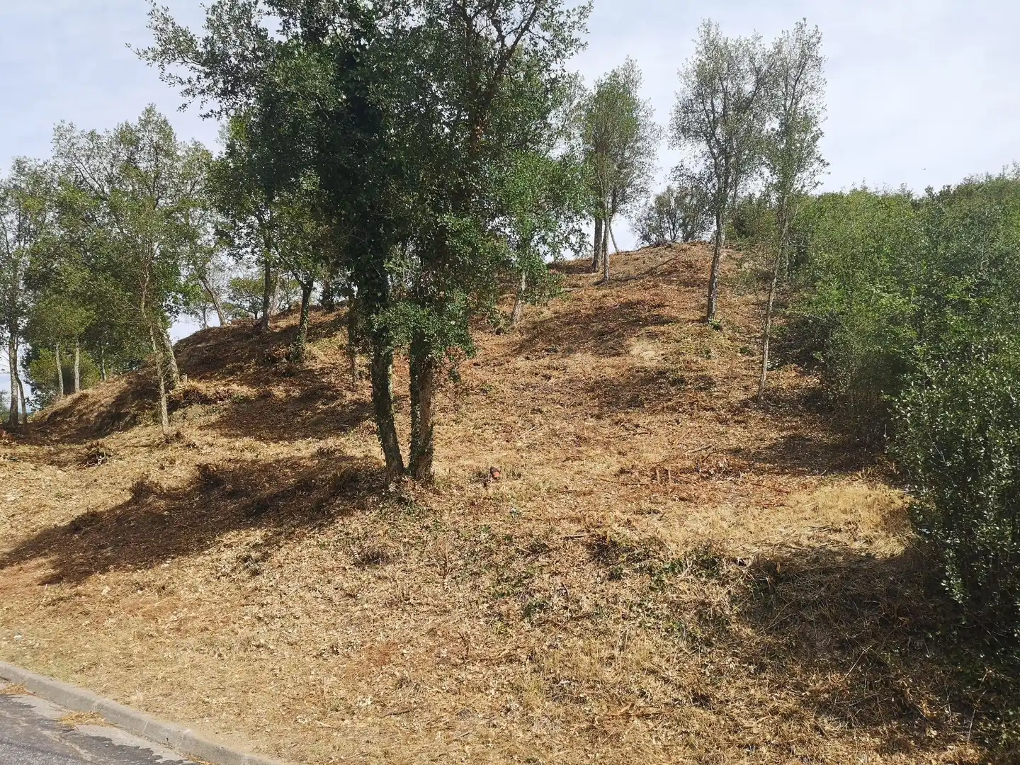 Residential land for sale in Caldes de Malavella, imagen 13