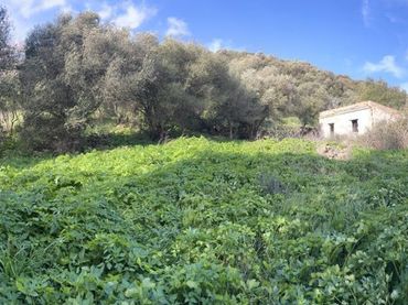 Maison rustique à vendre à Vejer