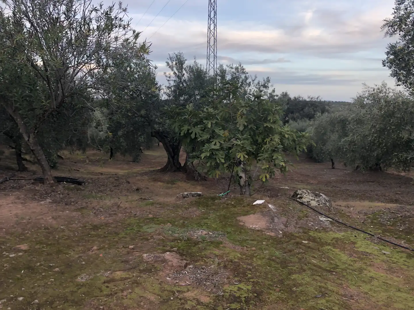 Rustikales Grundstück zum Verkauf in Montoro, imagen 6