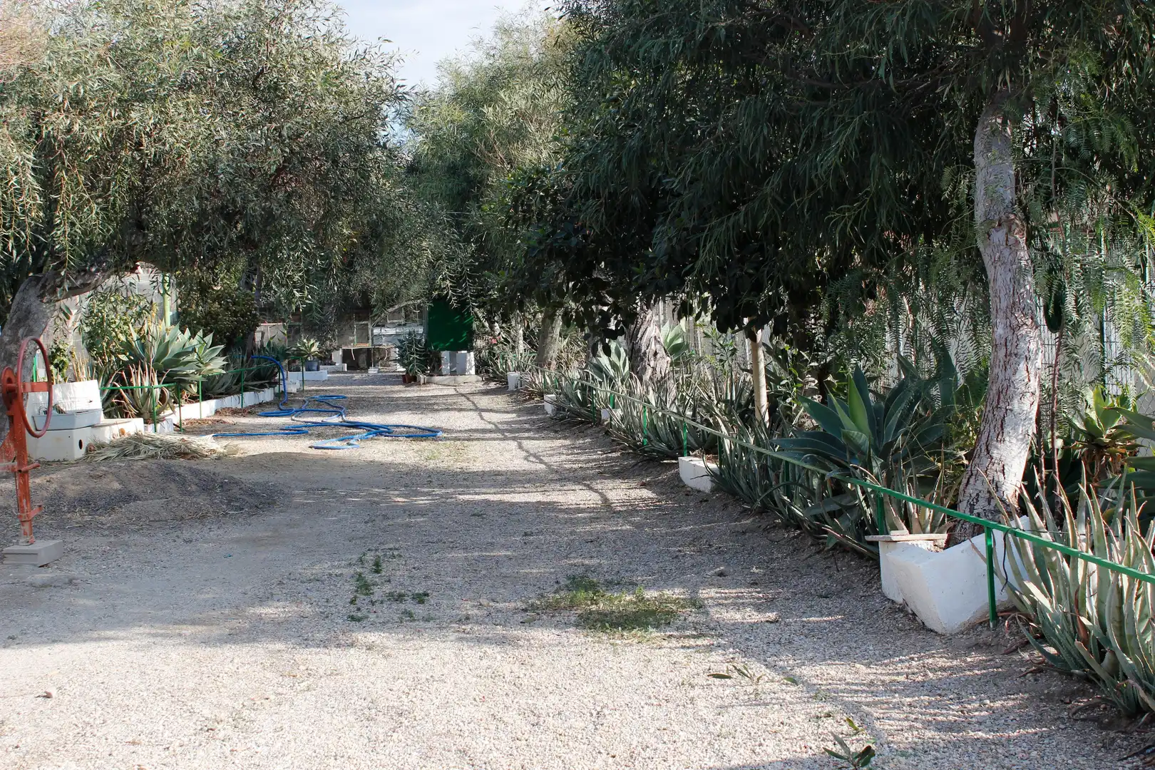 Garten von Residential zum Verkauf in Pechina