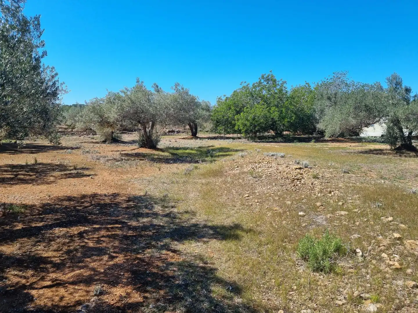 Terreno rustico in vendita a El Perelló, imagen 6
