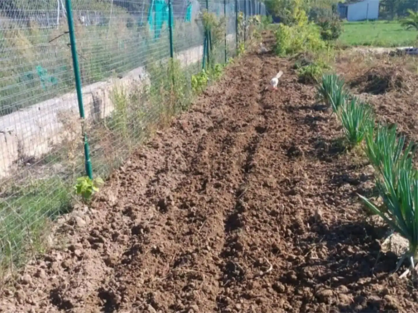 Garden of Land for sale in Lerín