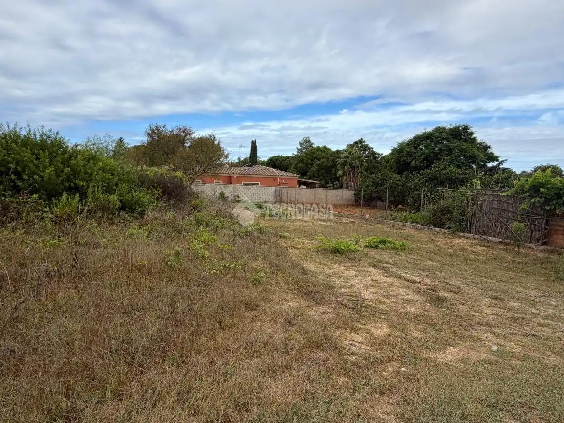 Rural land for sale in Las Lagunas - Campano
