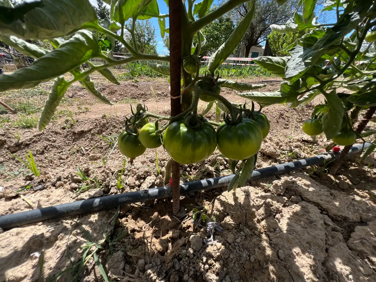 Terreni e lotti in vendita a Barrios rurales del oeste, imagen 11