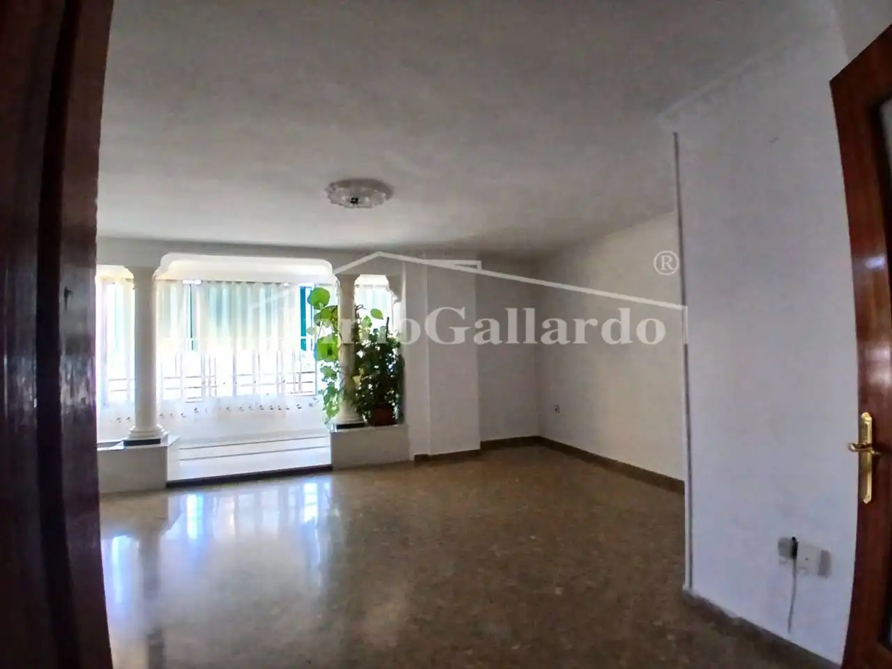 Exterior view of Flat for rent in Málaga  with Terrace