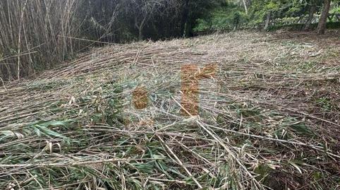 Foto 2 de Finca rústica en venda a Moaña, Pontevedra