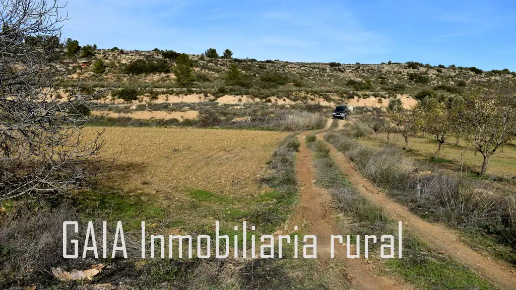 Maison rustique à vendre à Maella, imagen 12