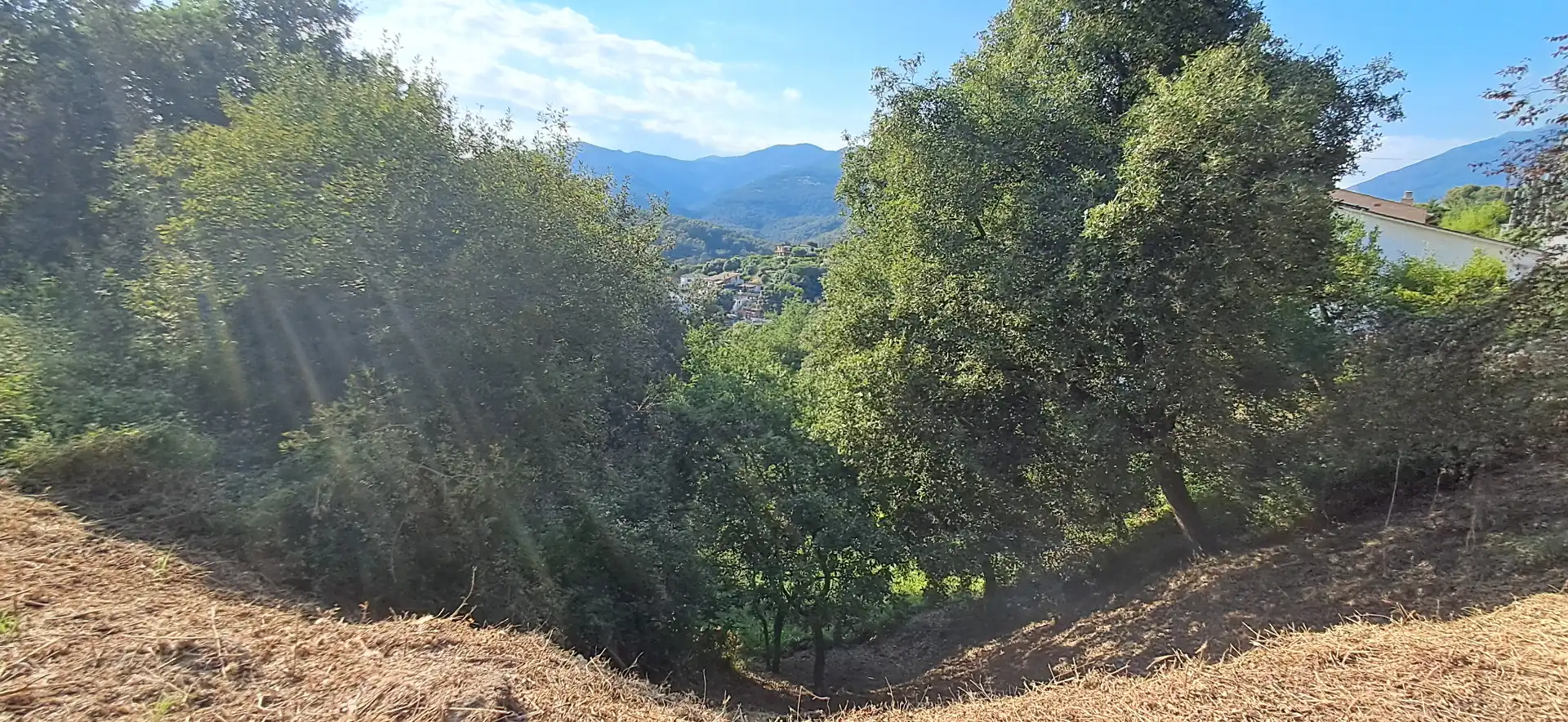Residential land for sale in Carrer Pi Gros, imagen 11
