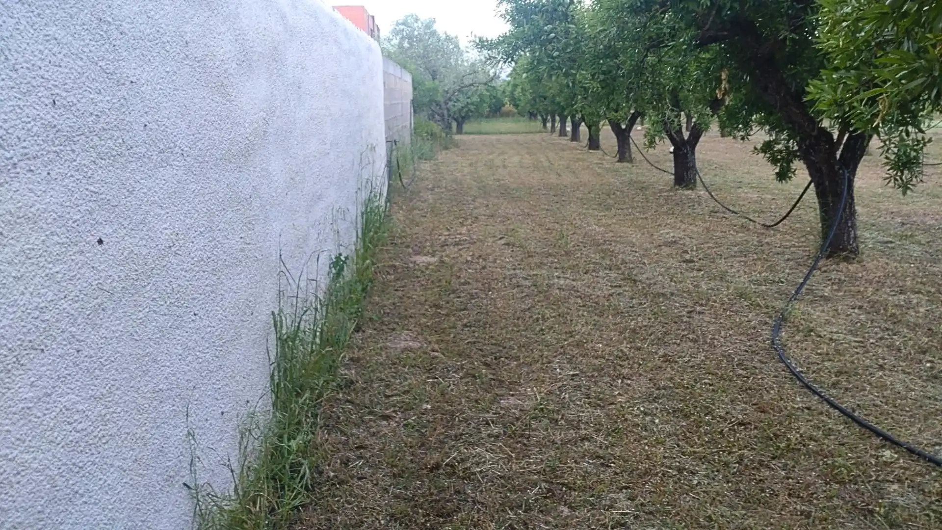 Terreno residenziale in vendita a Camino Nou, imagen 23
