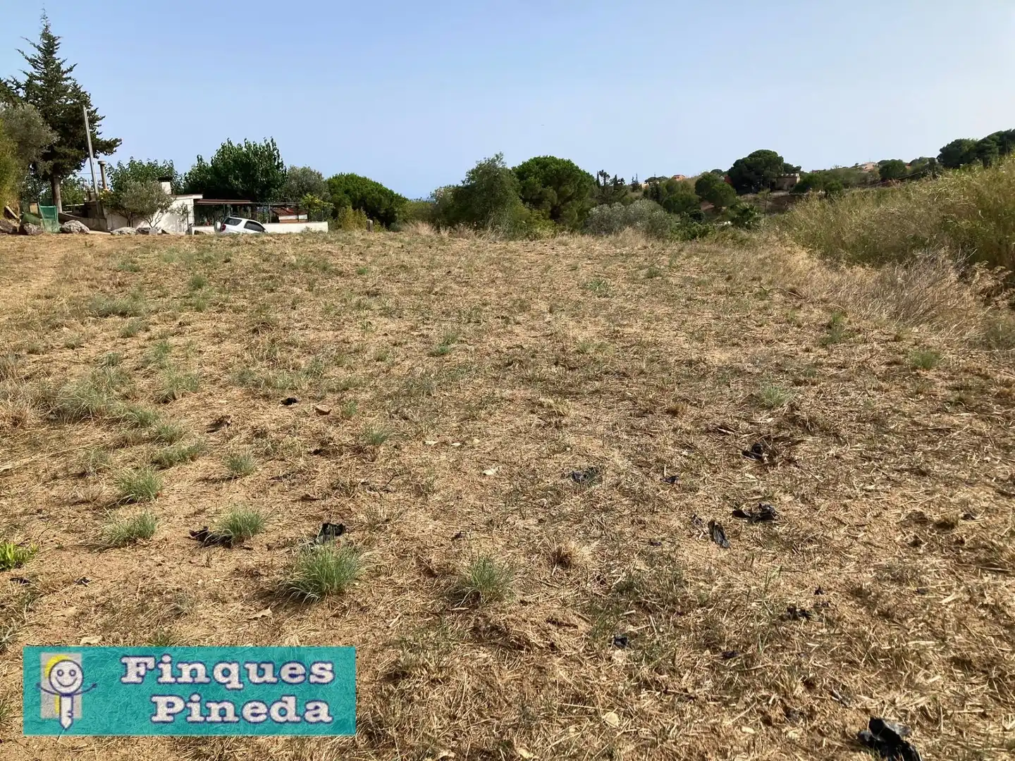Rural land for sale in Calella, imagen 8
