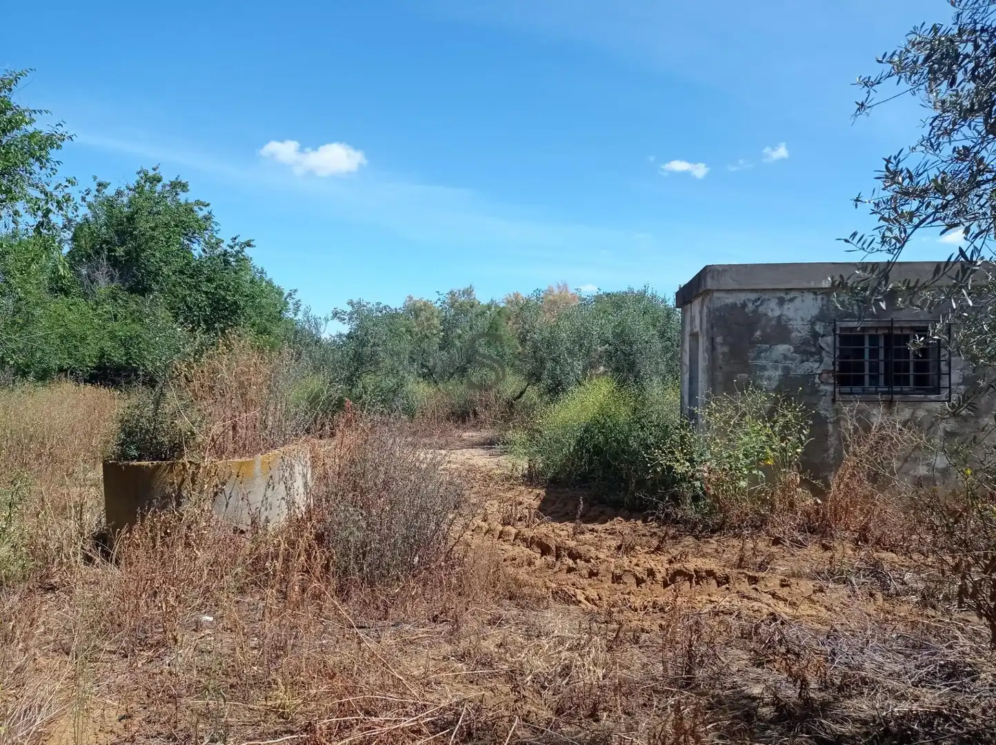Rural land for sale in La Paz, imagen 3