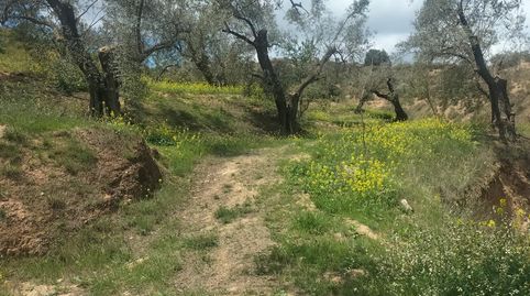 Finca Rúst. en venta en El Valle., immagine 5