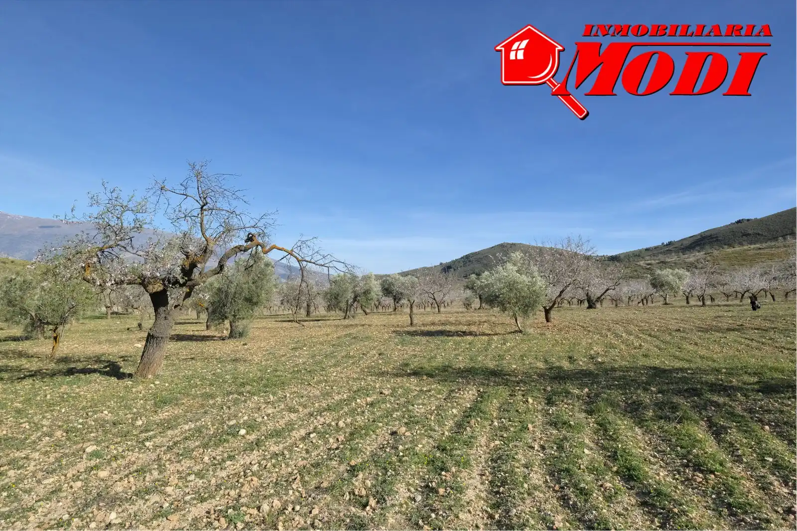Terreni e lotti in vendita a El Valle, imagen 29