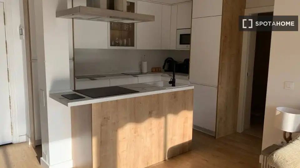 Cuina de Pis de lloguer en Madrid amb Aire condicionat, Calefacció i Moblat