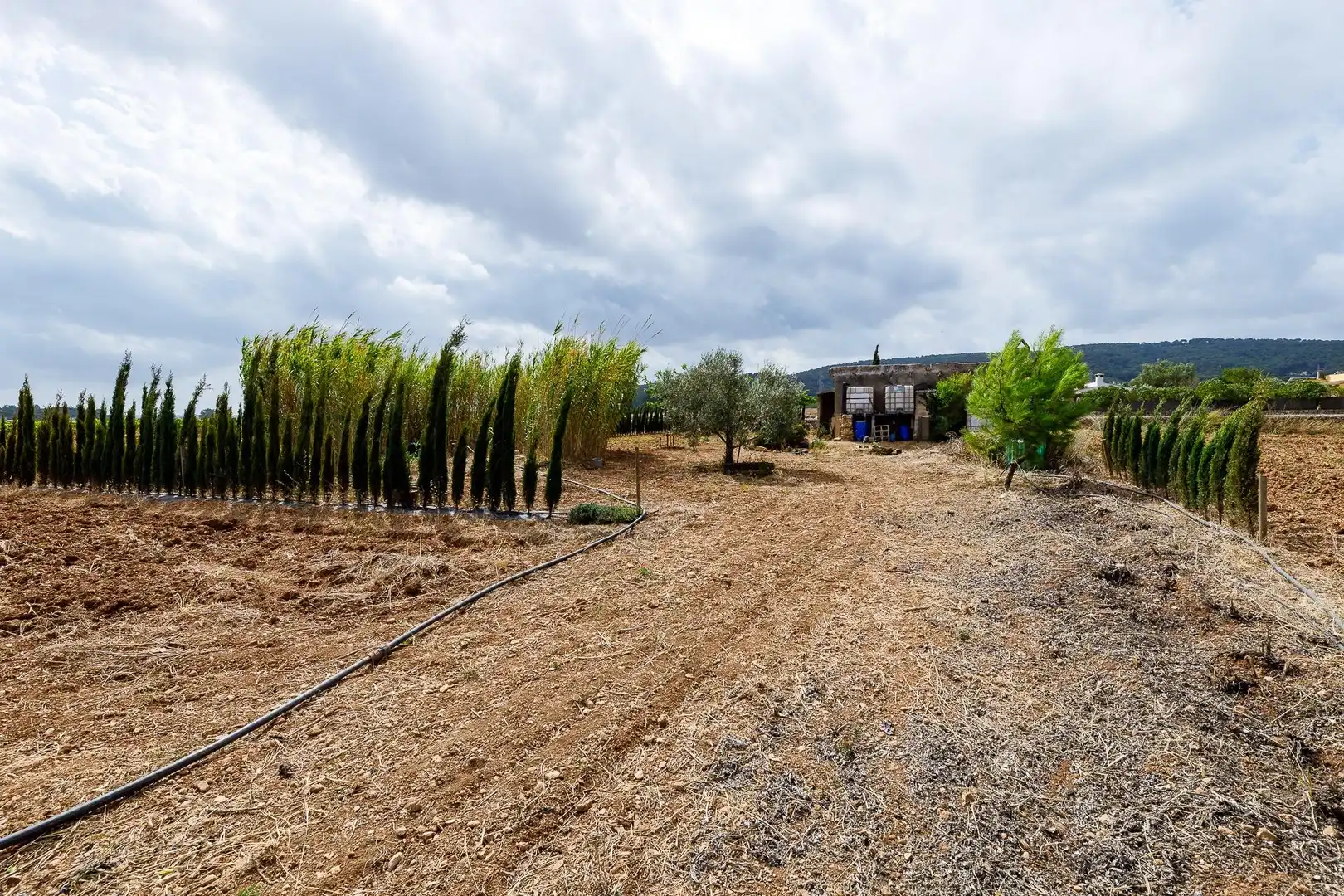 Terreny rústic en venda a Santa Eugènia, imagen 13