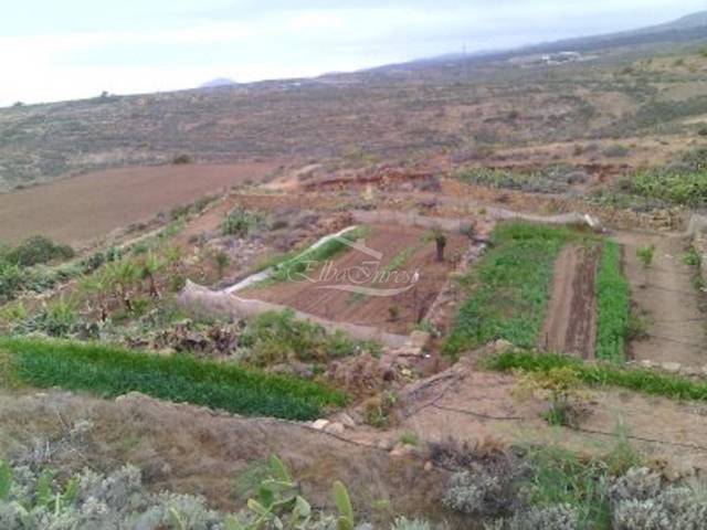 Terreno en Venta en Arico