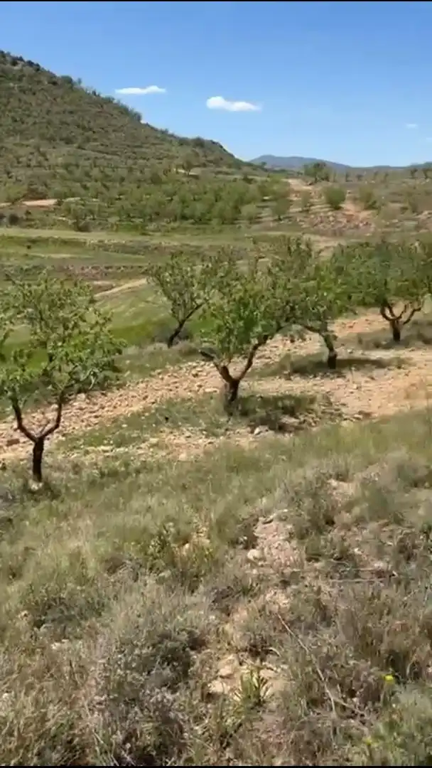 Terreno rustico in vendita a Cervera del Río Alhama, imagen 2